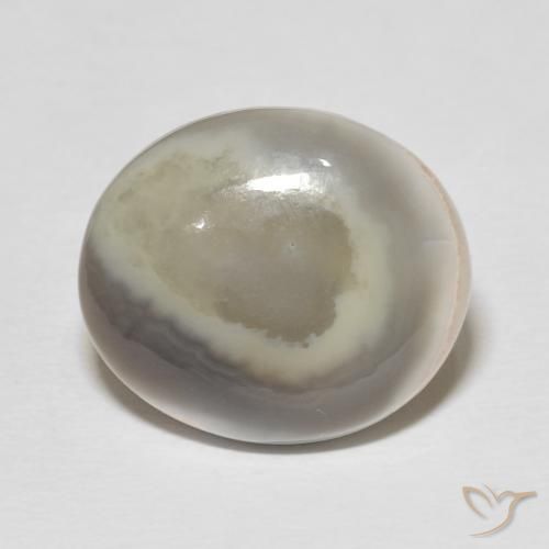 11.77ct طبيعي متعدد الألوان عقيق, بيضوي, غير شفاف