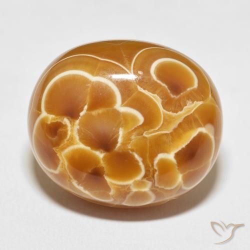 45.93ct طبيعي متعدد الألوان عقيق, بيضوي, غير شفاف
