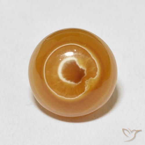 12.76ct طبيعي متعدد الألوان عقيق, دائري, غير شفاف