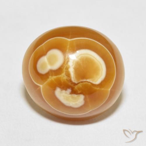 19.53ct طبيعي متعدد الألوان عقيق, بيضوي, غير شفاف