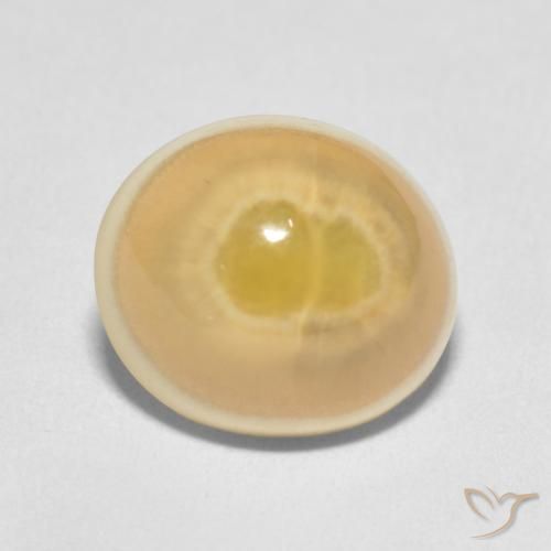 7.51ct طبيعي متعدد الألوان عقيق, بيضوي, غير شفاف