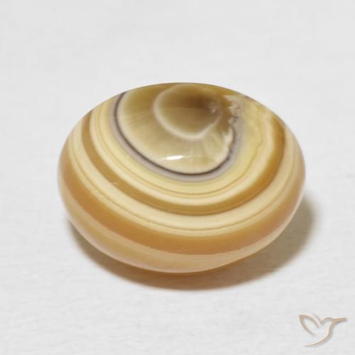 8.72ct طبيعي متعدد الألوان عقيق, بيضوي, غير شفاف
