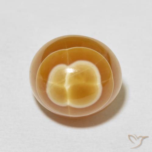 11.30ct طبيعي متعدد الألوان عقيق, بيضوي, غير شفاف