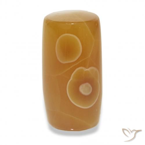 13.53ct متعدد الألوان عقيق, فانسى, نصف شفاف