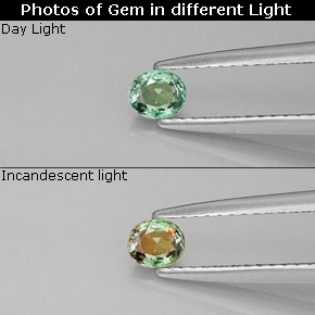 الكسندريت أخضر/أحمر طبيعي، قصة بيضاوى، 0.25 قيراط، VVS-VS