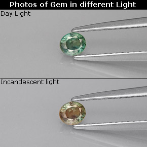 الكسندريت أخضر/أحمر طبيعي، قصة بيضاوى، 0.25 قيراط، VVS-VS