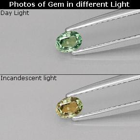 الكسندريت أخضر/أحمر طبيعي، قصة بيضاوى، 0.20 قيراط، قليلا جدا