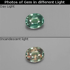 الكسندريت أخضر/أحمر طبيعي، قصة بيضاوى، 0.12 قيراط، قليلا جدا