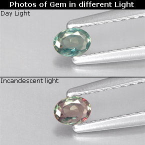 الكسندريت أخضر/أحمر طبيعي، قصة بيضاوى، 0.12 قيراط، قليلا جدا