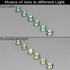 أحجار الكسندريت أخضر/أحمر طبيعية، قصة بيضاوى، قليلا جدا، وزنها  قيراط