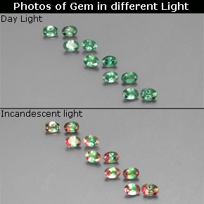 أحجار الكسندريت أخضر/أحمر طبيعية، قصة بيضاوى، قليلا جدا، وزنها  قيراط