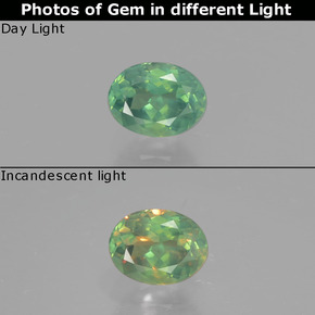 الكسندريت أخضر/أحمر طبيعي، قصة بيضاوى، 0.51 قيراط، قليلا جدا