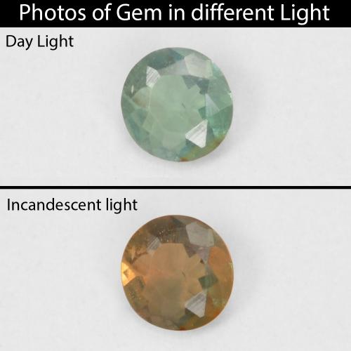 ألكسندريت طبيعي بلون Medium Light Green، وزن ‎0.07‎ قيراط، شكل دائري، مقاس ‎2.48‎ مم