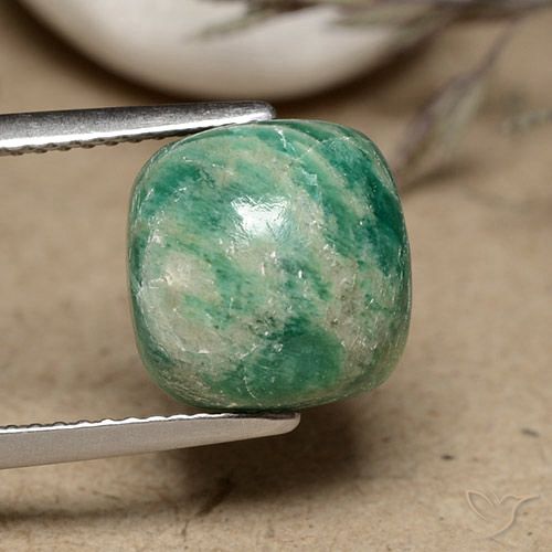 5.56ct طبيعي أخضر متوسط امازونيت, وسادة, غير شفاف