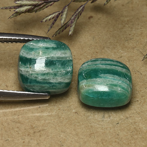 أحجار امازونيت أخضر متوسط طبيعية، قطع وسادة، غير شفاف، وزنها 9.66 قيراط