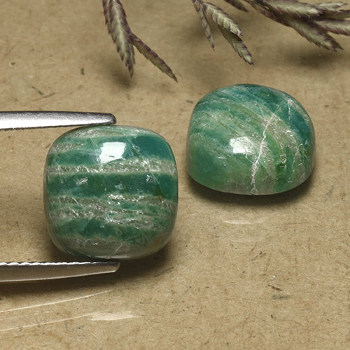 أحجار امازونيت أخضر رائع طبيعية، قطع وسادة، غير شفاف، وزنها 8.15 قيراط