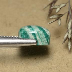 أمازونيت أخضر رائع طبيعي، قطع وسادة، 5.96 قيراط، غير شفاف