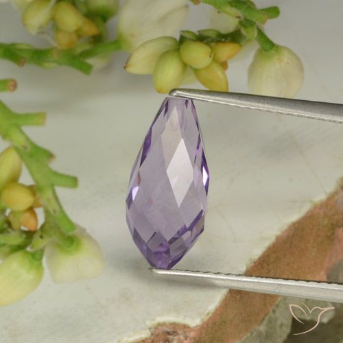 3.52ct طبيعي بنفسجى سوسنى وردى جمشت, بريوليت, قليلا جدا