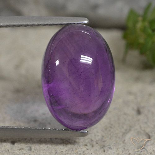 7.44ct طبيعي بنفسجى متوسط جمشت, بيضوي, شفاف
