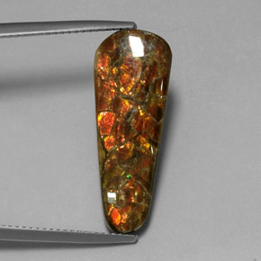 أموليت متعدد الألوان طبيعي، شكل خيالي، 7.59 قيراط، غير شفاف