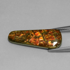 أموليت متعدد الألوان طبيعي، شكل خيالي، 7.59 قيراط، غير شفاف