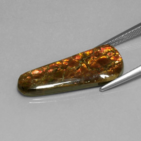 أموليت متعدد الألوان طبيعي، شكل خيالي، 7.59 قيراط، غير شفاف