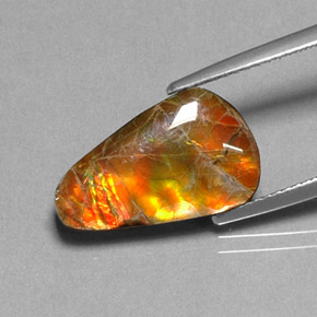 أموليت متعدد الألوان طبيعي، شكل خيالي، 5.20 قيراط، غير شفاف