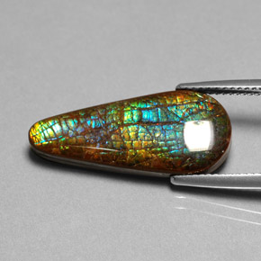 أموليت متعدد الألوان طبيعي، شكل الكمثرى، 8.53 قيراط، غير شفاف