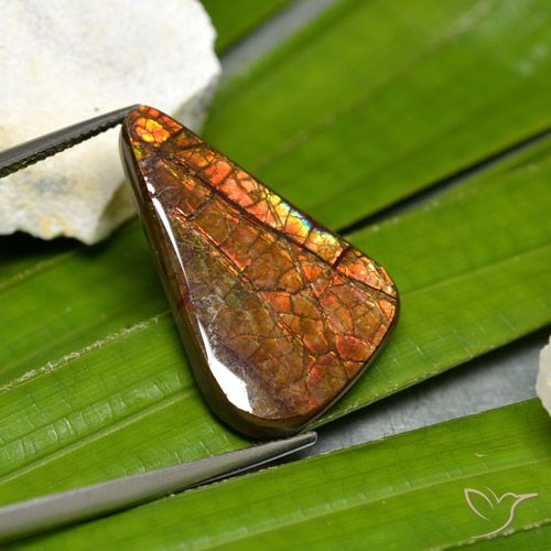 15.23ct طبيعي متعدد الألوان أموليت, فانسى, غير شفاف