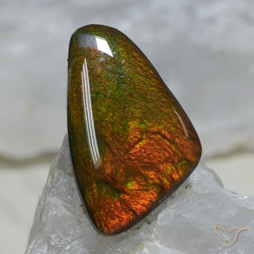 8.89ct طبيعي متعدد الألوان أموليت, فانسى, غير شفاف