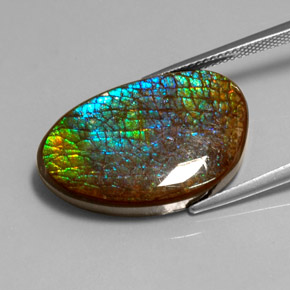 أموليت متعدد الألوان طبيعي، شكل خيالي، 16.45 قيراط، غير شفاف