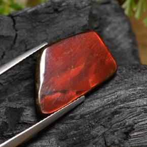 أموليت متعدد الألوان طبيعي، شكل خيالي، 6.67 قيراط، غير شفاف