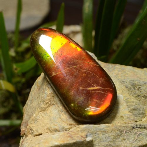 23.51ct طبيعي متعدد الألوان أموليت, فانسى, غير شفاف