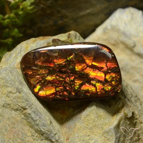17.42ct طبيعي متعدد الألوان أموليت, فانسى, غير شفاف