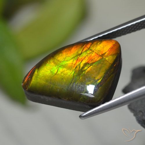8.39ct طبيعي متعدد الألوان أموليت, فانسى, غير شفاف