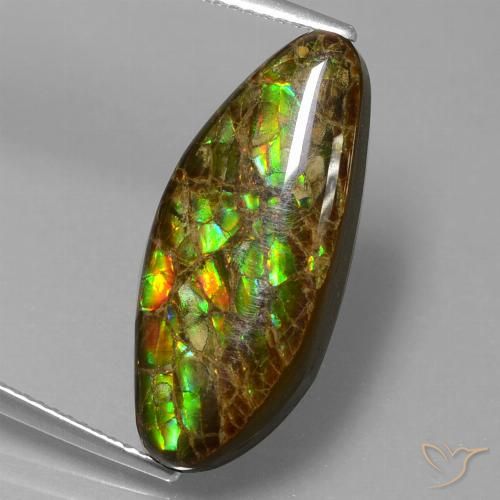 9.86ct طبيعي متعدد الألوان أموليت, فانسى, غير شفاف