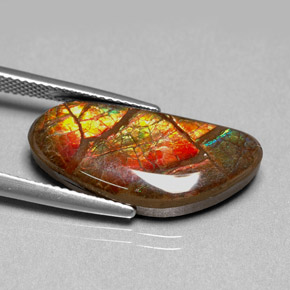 أموليت متعدد الألوان طبيعي، شكل خيالي، 9.95 قيراط، غير شفاف