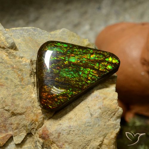 10.34ct طبيعي متعدد الألوان أموليت, مثلثى, غير شفاف