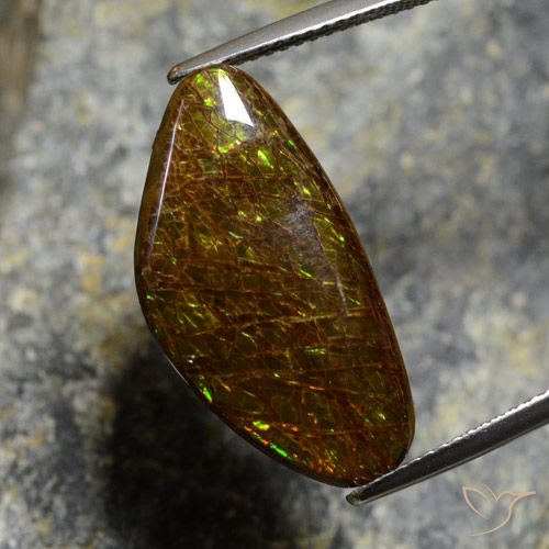 11.88ct طبيعي متعدد الألوان أموليت, فانسى, غير شفاف