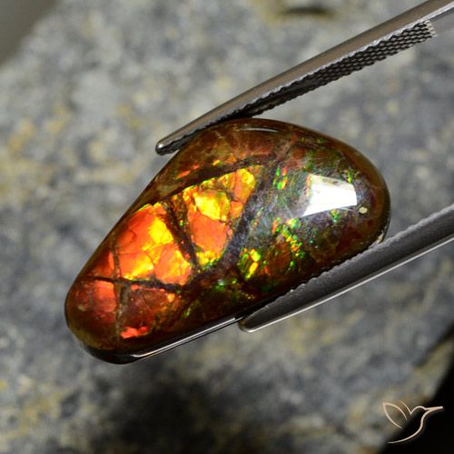 11.96ct طبيعي متعدد الألوان أموليت, فانسى, غير شفاف