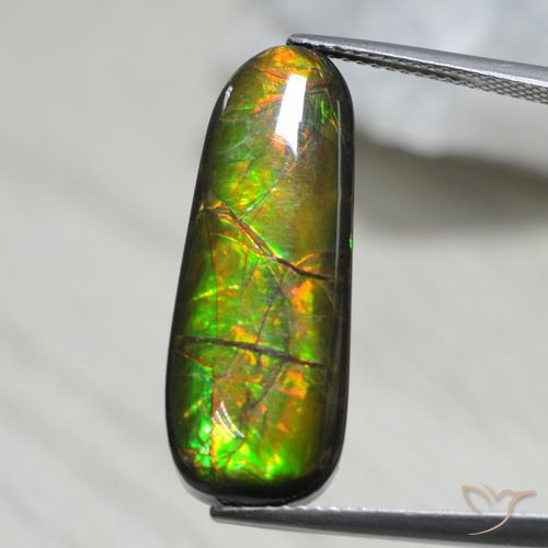 13.66ct طبيعي متعدد الألوان أموليت, فانسى, غير شفاف