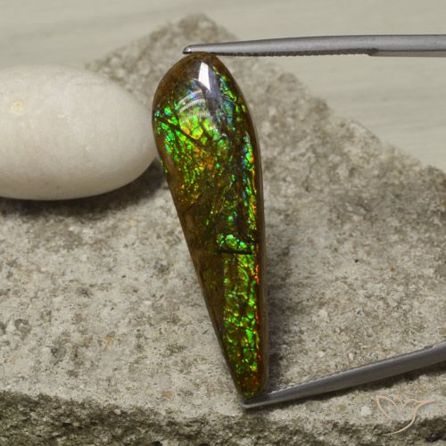 14.49ct طبيعي متعدد الألوان أموليت, فانسى, غير شفاف