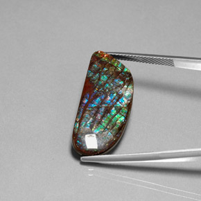 أموليت متعدد الألوان طبيعي، شكل خيالي، 16.86 قيراط، غير شفاف