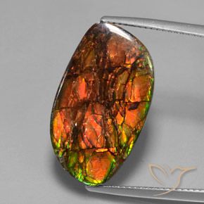 13.27ct طبيعي متعدد الألوان أموليت, فانسى, غير شفاف