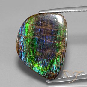 15.82ct طبيعي متعدد الألوان أموليت, فانسى, غير شفاف