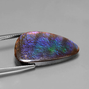 أموليت متعدد الألوان طبيعي، شكل خيالي، 15.59 قيراط، غير شفاف