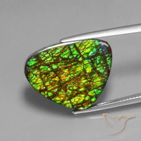19.08ct طبيعي متعدد الألوان أموليت, مثلثى, غير شفاف