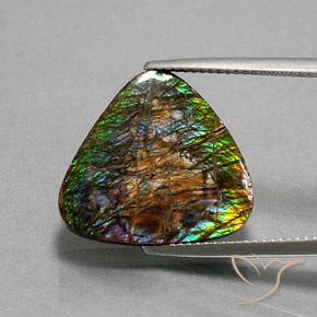 12.33ct طبيعي متعدد الألوان أموليت, مثلثى, غير شفاف
