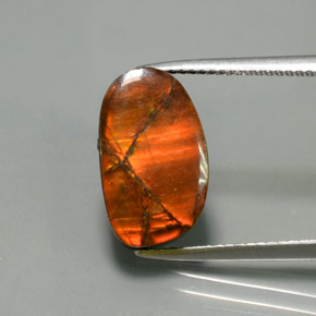 أموليت متعدد الألوان طبيعي، شكل خيالي، 5.02 قيراط، غير شفاف