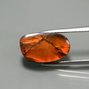 أموليت متعدد الألوان طبيعي، شكل خيالي، 5.02 قيراط، غير شفاف